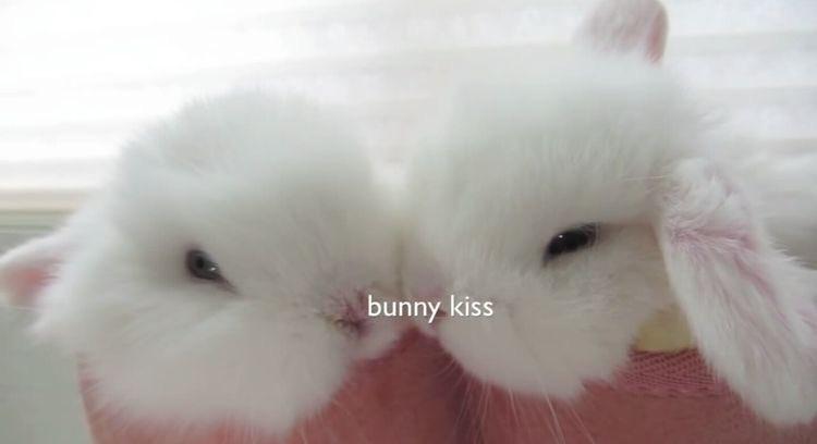 gfsize's tweet image. ୨୧