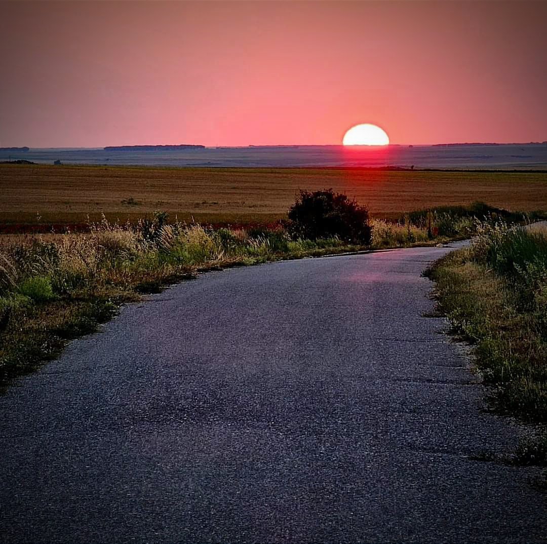 ...
...
...

Que la última estrella se lleve la torpeza de esta guerra,
y solo encontremos calma en las entrañas.
Que el orgullo desbocado no enturbie este cielo,
y el sol sea capaz de renovar, las razones y las ganas.

Instagram.com/victorcolladoc