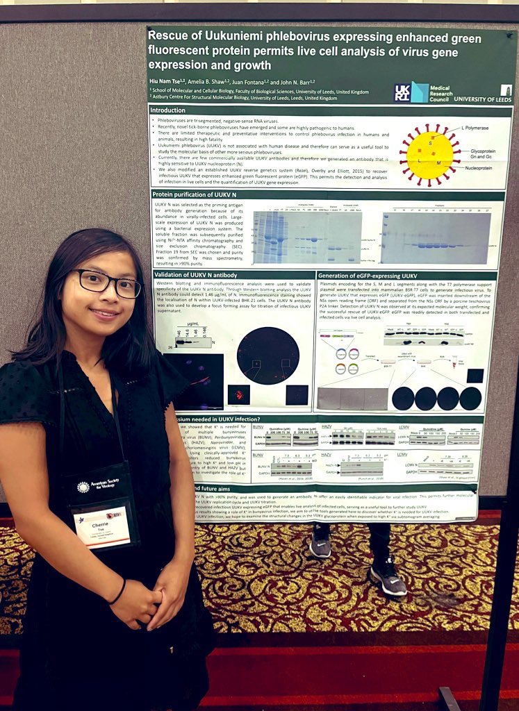 Barr Lab (@barrleeds) on Twitter photo We also have lots more interesting Barr group research on display this afternoon (Tues) from 5pm! Come chat to our post-doc <a href="/haylzpea/">Dr Hayley Pearson</a> (P37-29) about #BUNV entry and our research tech Cherrie (P39-13) about rescuing #UUKV 🦠 #bunyaviruses #ASV2023 We also have lots more interesting Barr group research on display this afternoon (Tues) from 5pm! Come chat to our post-doc <a href="/haylzpea/">Dr Hayley Pearson</a> (P37-29) about #BUNV entry and our research tech Cherrie (P39-13) about rescuing #UUKV 🦠 #bunyaviruses #ASV2023