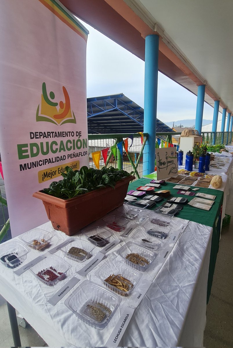 MuniPenaflor's tweet photo. 🟢 Ahora ] En Escuela República d Israel, en el 2do encuentro de #HuertosEscolares "Una Oportunidad Pedagógica“🥦🍅🥒🌶. Se presentarán buenas prácticas de 4 escuelas y habrá jornada de #trueques 👏👏👏. https://t.co/VfRP3juajs