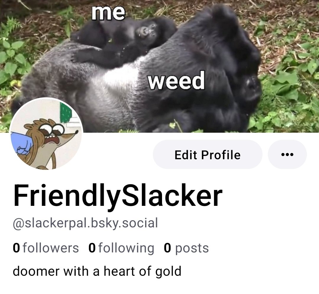 A Friendly Slacker, PhD tweet media