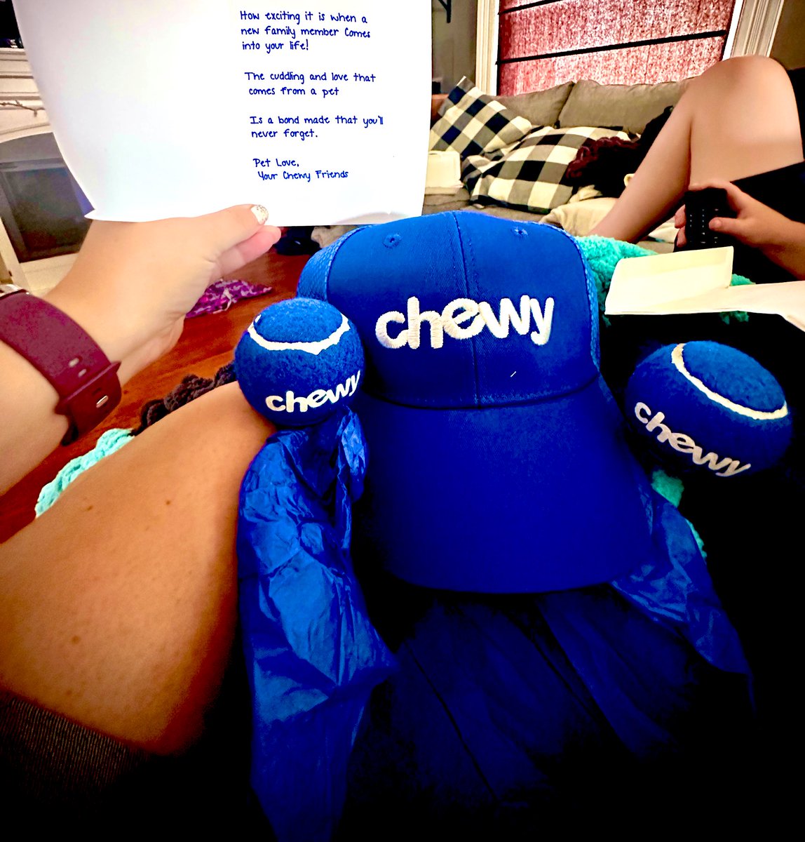 LogicsWife's tweet photo. Thank you @chewy! What a wonderful surprise! The boys are loving the tennis balls! #Sparky #Cosmo https://t.co/VVW7FsDUNl
