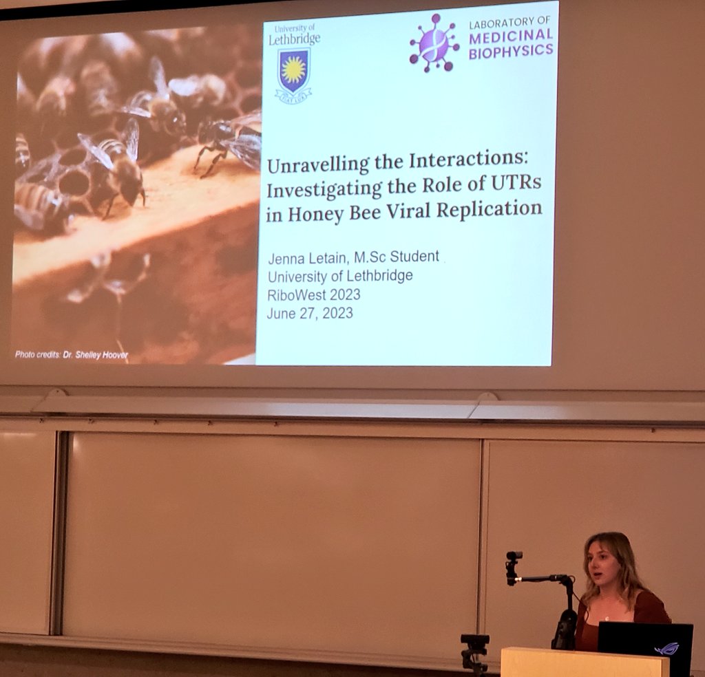 trushar_7's tweet photo. Day 2 of RiboWest meeting - Graduate students, Jenna and Curtis presented their work on honeybee infecting viral RNAs structure and Dengue viral RNA G-quadruplex, respectively. #ProudPI! https://t.co/Vdye1Rdmbe