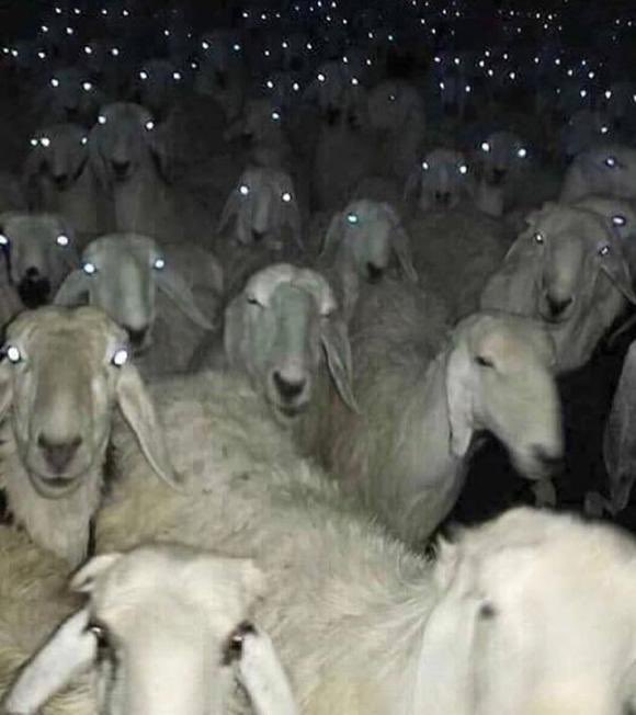 BEKLEYİŞ…

Kurban bayramınız mübarek olsun dostlar, Allah eksilmeden nice bayramlar nasip etsin cümlemize…🤲
💛💙🌹🌹🌹☕️☕️