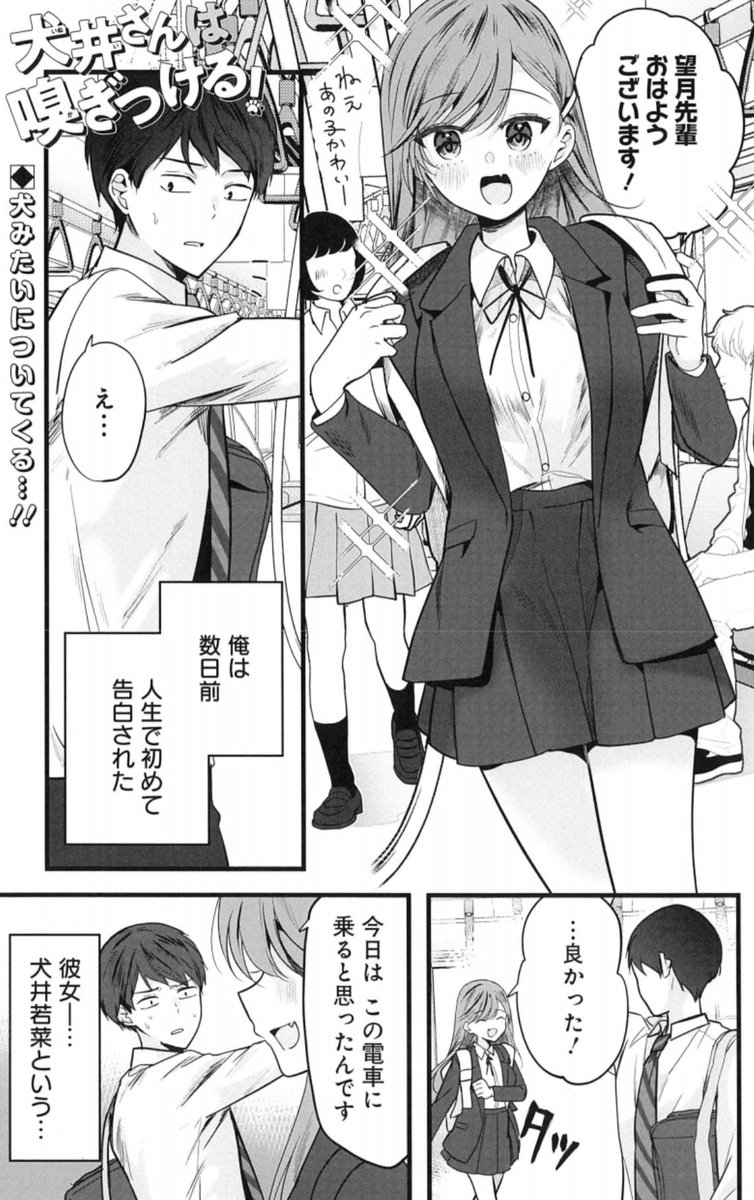 今月の #グランドジャンプむちゃ は… なんとsaku先生 2作品掲載❣️❣️ 新作ショートラブコメ🐕 『犬井さんは嗅ぎつける!』🐶💘 一挙2本立てで贈ります🎁 grandjump.shueisha.co.jp/muc… saku先生ファンは むちゃ7月号必見です😍