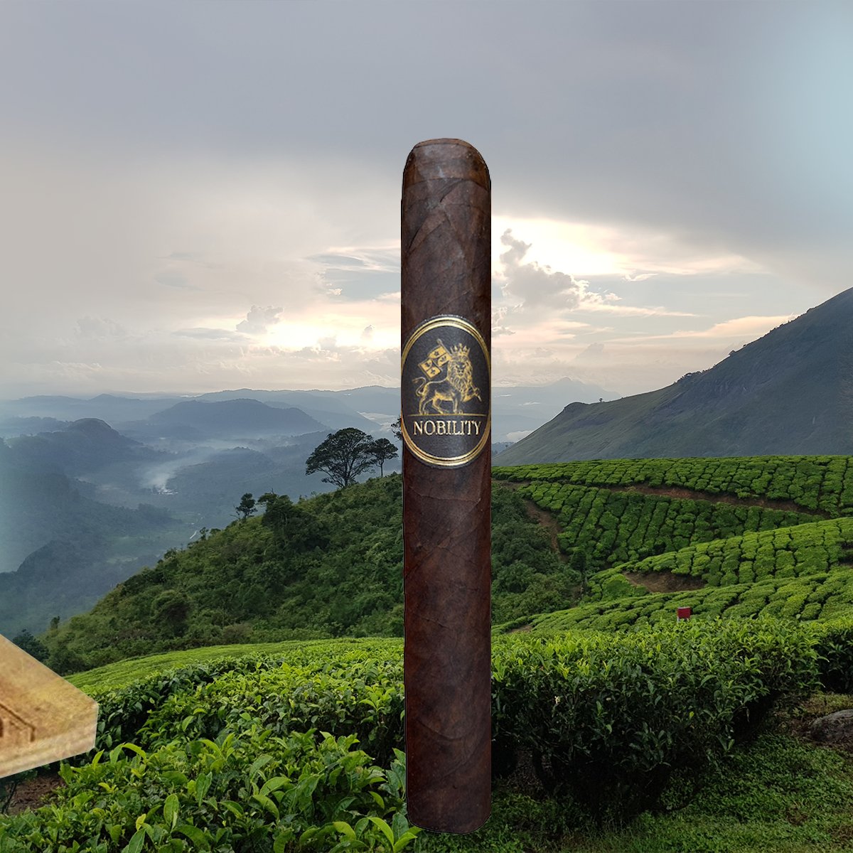 Nobility..
#cigars #cigar #botl #sotl #nowsmoking #luxury
