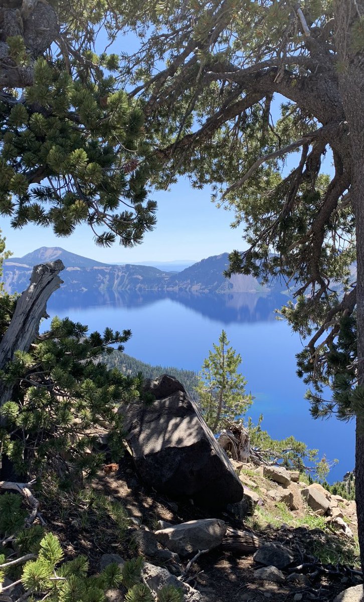 Calm at Crater Lake

#photooftheday
