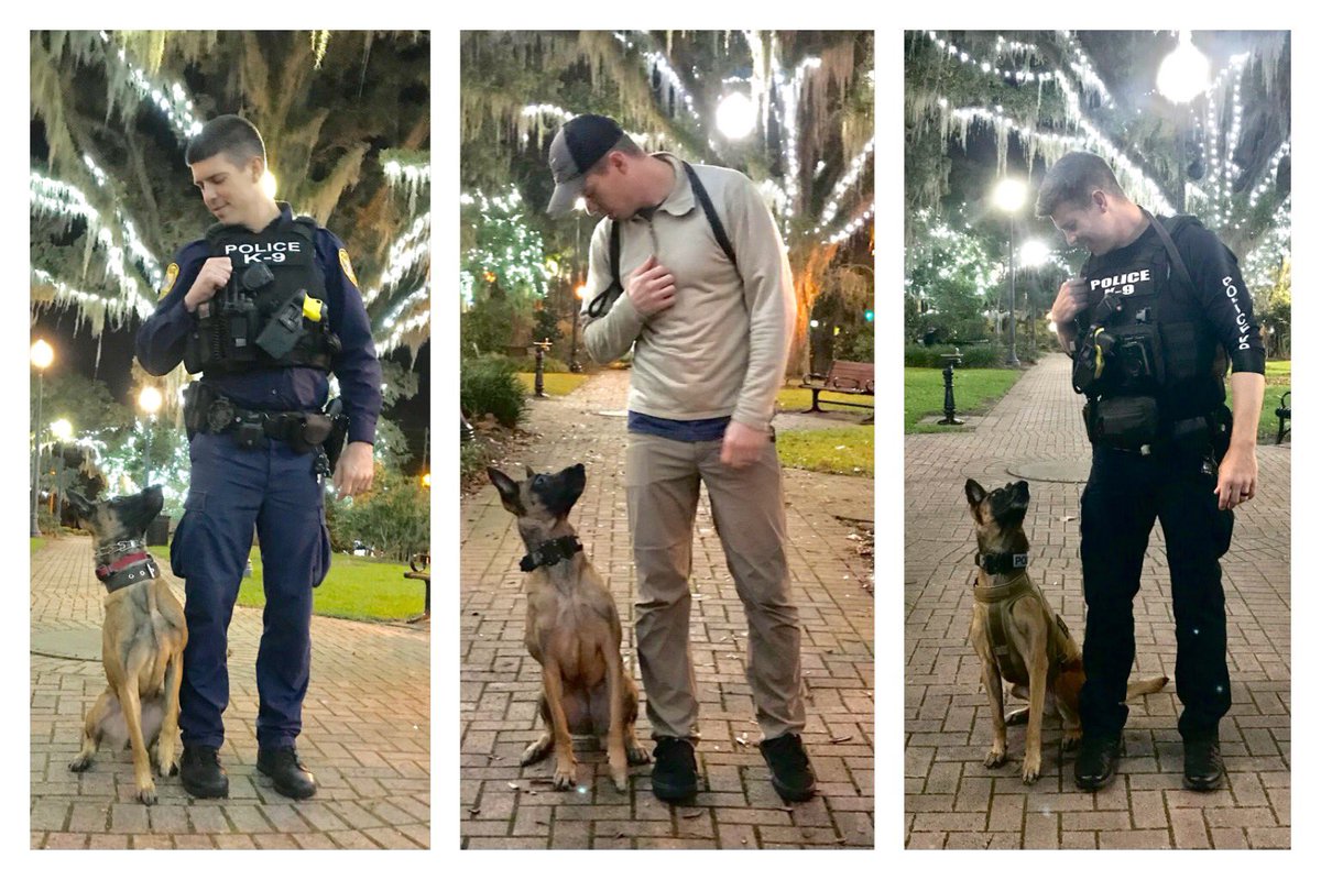 Love4PoliceDogs's tweet image. From working to retired to working again. Nate and K9 Kana coming back to Tallahassee after living in Oklahoma will ALWAYS be one of the best things ever! So is her being vested up now thanks to y’all &amp;amp; @k9sofvalor! To help protect more K9s: k9sofvalor.org/vests
