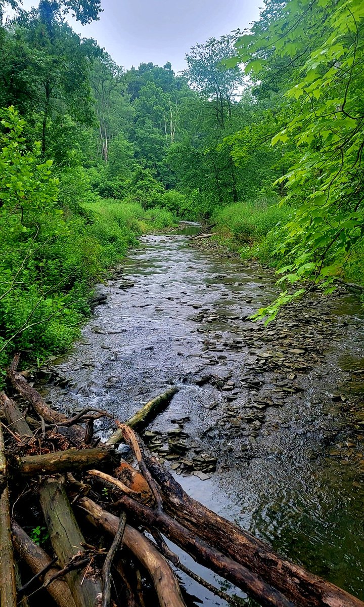 Sagamore Creek! #hike #hiking #hikingadventures #photo #nature #NaturePhotography #photography #photographer #getoutside