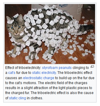 Wikipedia never fails to disappoint