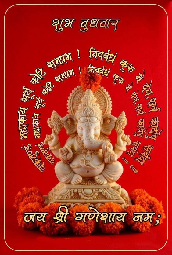 naren_dr1103's tweet photo. 🌸ॐ गं गणपतये नमः🌸
🍁🍁 सुप्रभात 🍁🍁
*****************************************************
ज़िन्दगी में
मेहनत से मिले फल का स्वाद
क़िस्मत से मिले
फल के स्वाद से ज़्यादा मीठा लगेगा https://t.co/GlZAAjDOzm