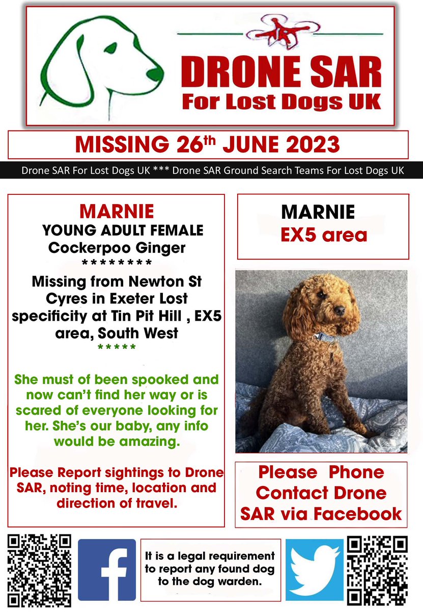 #LostDog #Alert MARNIE
Female Cockerpoo Ginger (Age: Young Adult)
Missing from Newton St Cyres in Exeter Lost specificity at Tin Pit Hill , EX5 area, South West on Monday, 26th June 2023 #DroneSAR #MissingDog