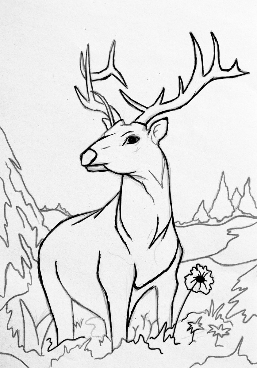 I made a deer coloring page