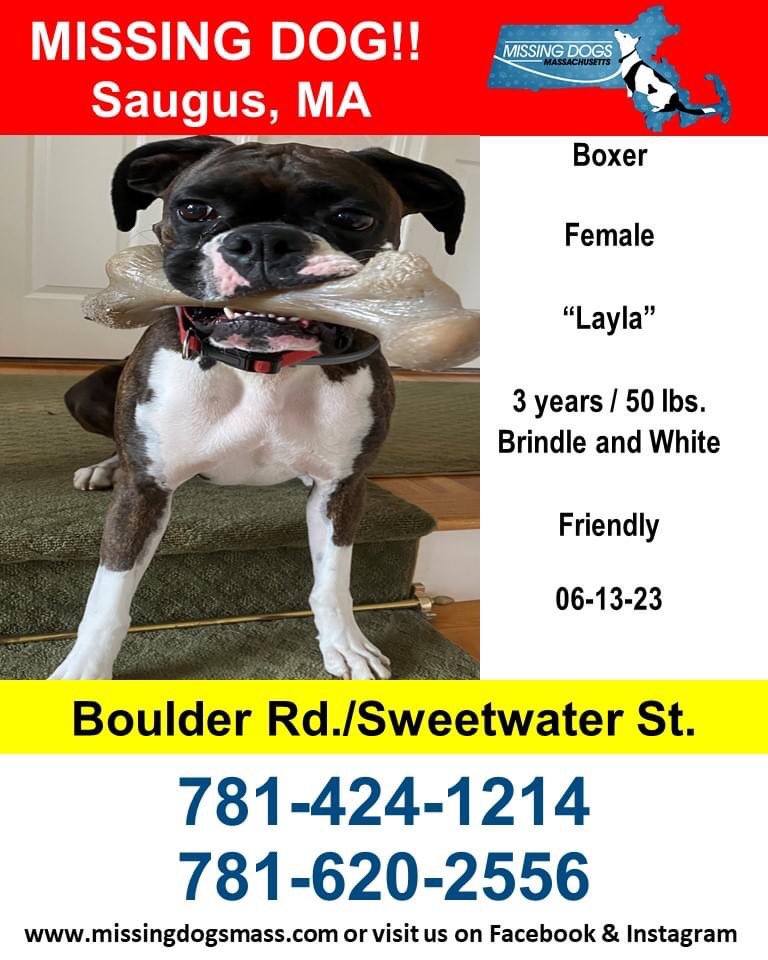 @NBC10Boston PLEASE PLEASE DO A STORY ON A MISSING DOG AND HIS SPECIAL NEEDS CHILD MIASING HIM IN SAUGUS!!!!! HELP!!!!!!!!