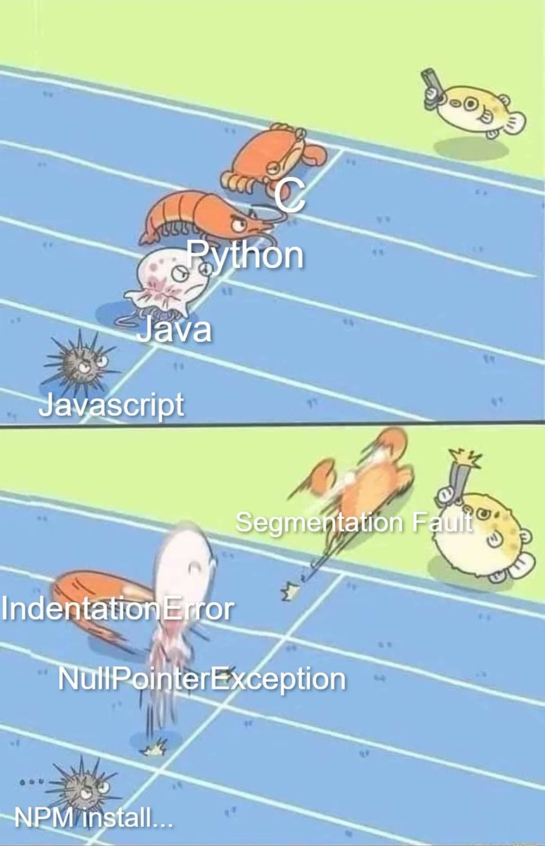 Programmer Memes On Twitter Let s Test Which Language Is Faster 