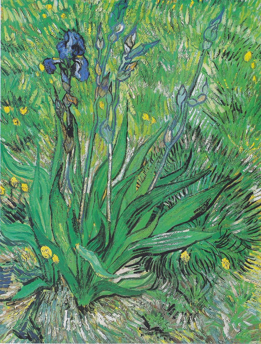 #VanGogh #irises #MetMuseum #nationalgalleryofcanada #Blueflower #EPluribusUnum