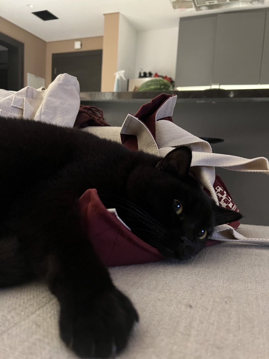 Ankiet Gulabani tweet media