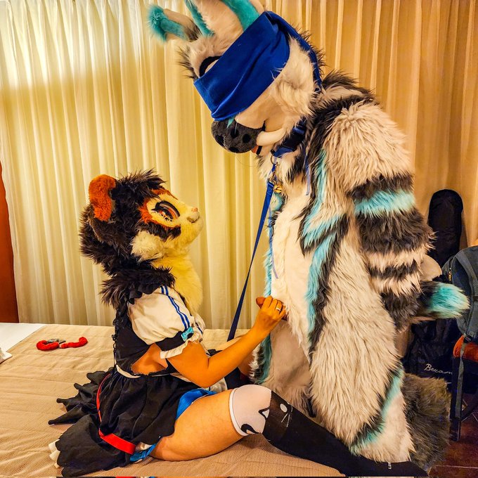 Getting bigger this dick for me not big enough to dig thorough my pussy 🔥🍆🍑  #Hot #FurrySex #Mursuit<a href="/tag/hot"class="tags"><span>#hot</span></a><a href="/tag/sex"class="tags"><span>#sex</span></a><a href="/tag/wife"class="tags"><span>#wife</span></a><a href="/tag/maid"class="tags"><span>#maid</span></a><a href="/tag/slave"class="tags"><span>#slave</span></a><a href="/tag/dick"class="tags"><span>#dick</span></a><a href="/tag/murr"class="tags"><span>#murr</span></a><a href="/tag/murrsuit"class="tags"><span>#murrsuit</span></a>