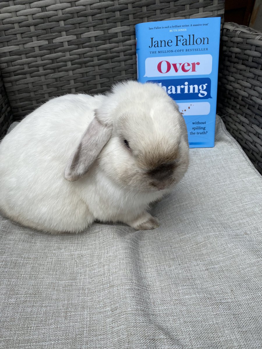 @JaneFallon Promo bunny Bumble #oversharing #PromoPets