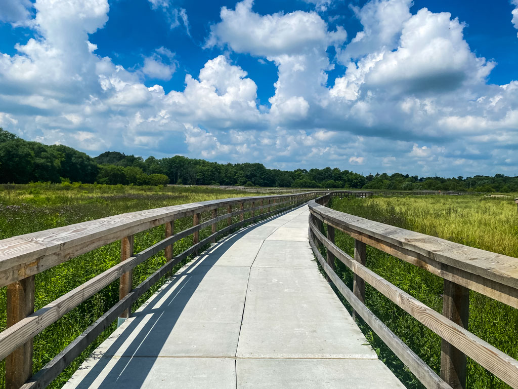 hbkoutdoors's tweet photo. Learn about the Mike Schout Wetlands Preserve in New Hamburg, Ontario. I stumbled on this beautiful natural area while kayaking on the Nith River on Sunday. https://t.co/XdWC1399IR #boardwalk #wildlife #nature #getoutside #explore #kayaking #NithRiver @WetlandsWilmot https://t.co/XjHe8kiXzk