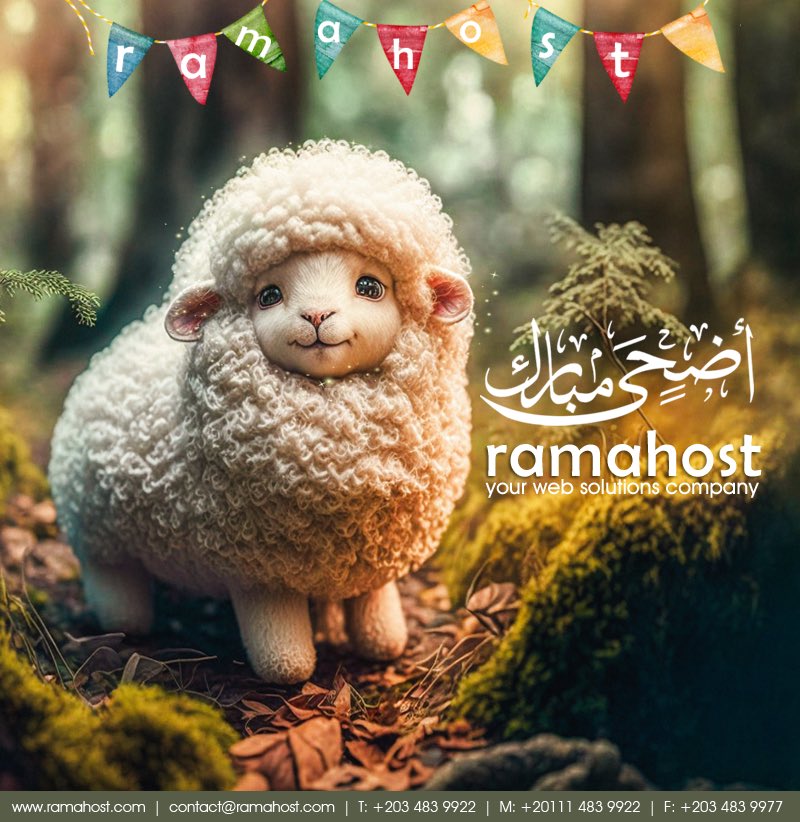 ramahost's tweet photo. https://t.co/8TwnbKKAlK