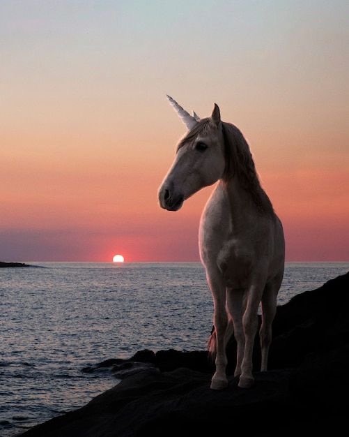 ╚»★«╝ 𝙶𝚘𝚘𝚍 𝚎𝚟𝚎𝚗𝚒𝚗𝚐. ╚»★«╝
#TwitterNatureCommunity 
Unicorn at sunset.
📸 - Pinterest