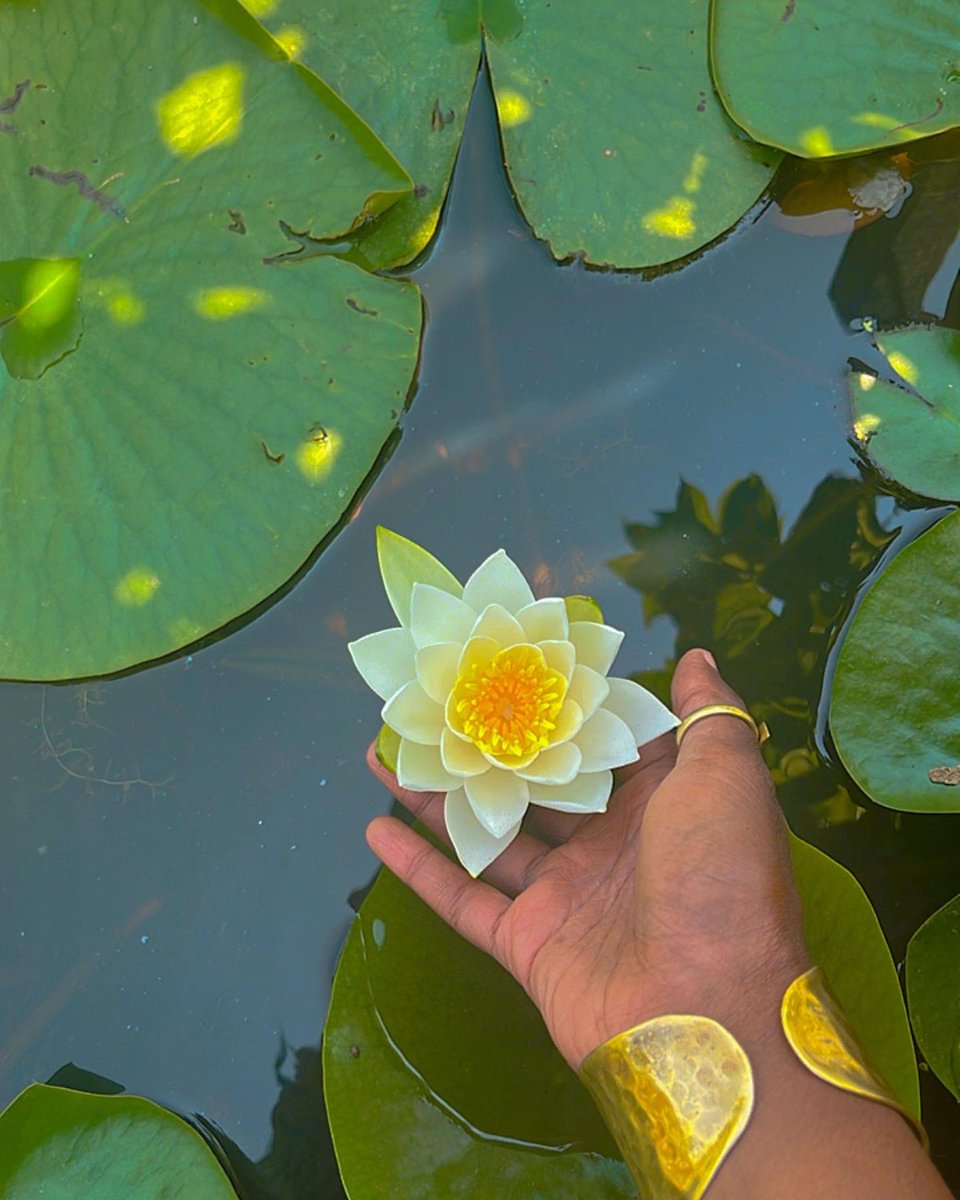 777_oya's tweet image. Even with it’s roots in the dirtiest, muddiest waters, the lotus produces the most beautiful flower. Much like our path to enlightenment + total embodiment; which is why this sacred flower holds profound symbolism with purity, rebirth, strength. Trusting in it’s own unfolding. 🪷