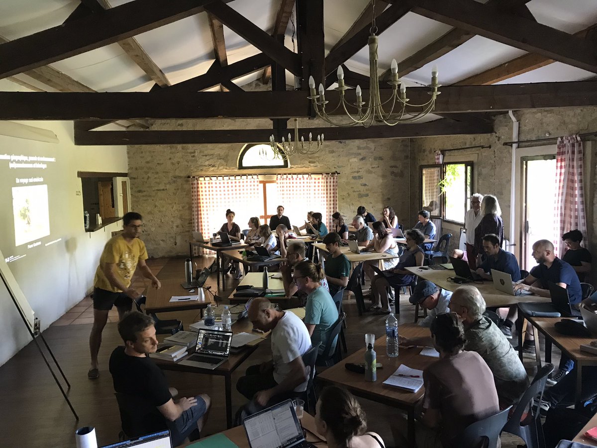 GdR_MAGIS tweet media