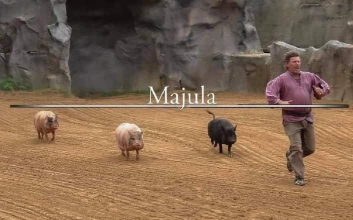 Thrasball's tweet photo. Recordad los que vayáis a Majula, no molestéis o seréis molestados. Buenas noches. https://t.co/kgduePIvV2