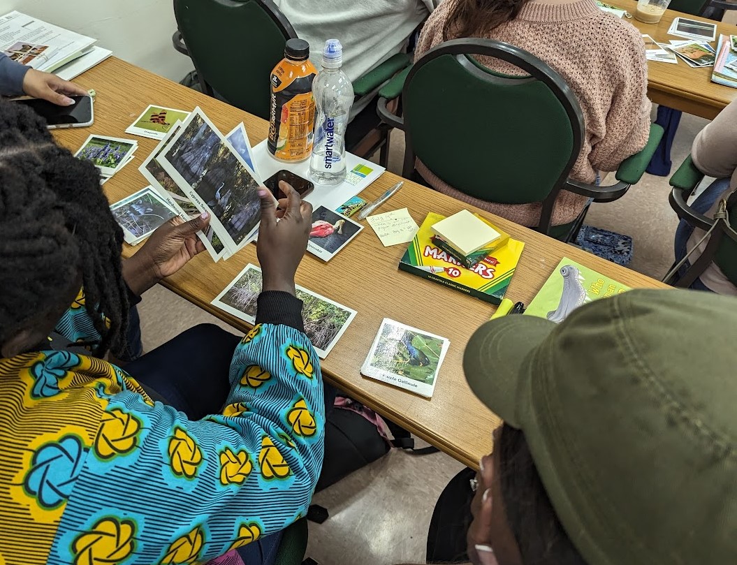 I joined Collier County K-5 teachers for an incredible teacher training session on the Everglades hosted by the Everglades Foundation. Tate Vangellow, the SWFL literacy program coordinator, was amazing. Great way to add the Everglades to school science and it's all free!