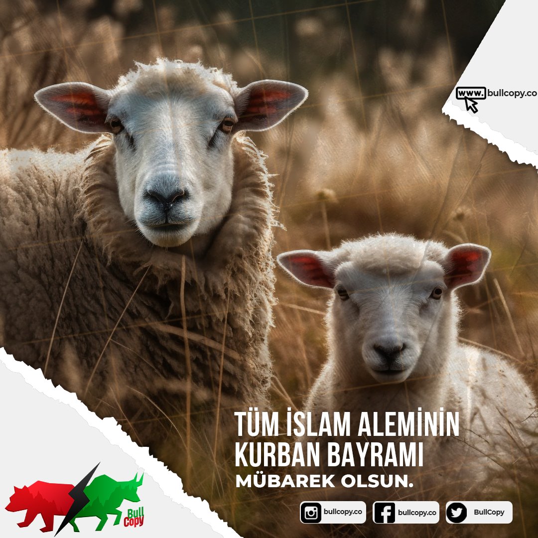 BullCopy's tweet photo. Tüm İslam Aleminin Kurban Bayramı Mübarek Olsun. 

#kurbanbayramı #KurbanBayramınızKutluOlsun #kurban #bayram 

https://t.co/aRNxDiVfdW

#Bullcopy #Bitcoin #Kriptopara #Binance #coin #btc #copy #trade #copytrade #yapayzeka #algoritma #btc  #eth $btc $eth https://t.co/sREGxCdBsr