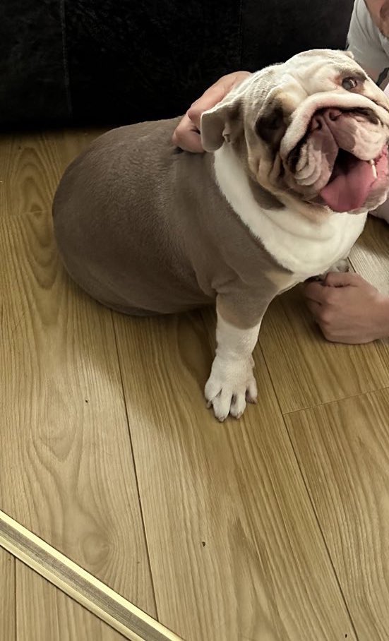 Ryan Mutch tweet media