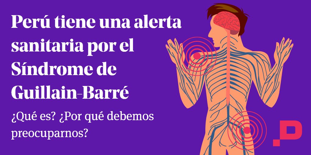 saludconlupa's tweet photo. El @Minsa_Peru emitió una alerta sanitaria por el aumento de casos del #SindromedeGuillainBarre en Perú. Hasta la fecha, 108 personas han sido diagnosticadas, siendo las regiones con más casos  Lima, La Libertad, Piura, Cajamarca, Junín, Cusco y Callao. Esto debes saber:🧵 https://t.co/rf7iwN1bMC