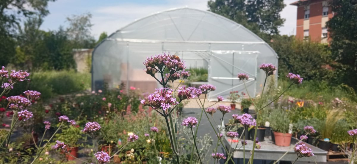 Etica e cura insieme a valore economico, cittadini e scuole insieme a impresa, volontariato e partecipazione insieme a lavoro. È passato appena un anno e il Parco del Legno e il Vivaio etico Fiori Ribelli cominciano a muovere i primi passi.
<a href="/quaderno_re/">QUAderno</a> <a href="/ReNicoletta/">Nicoletta Levi</a> @ComuneRE