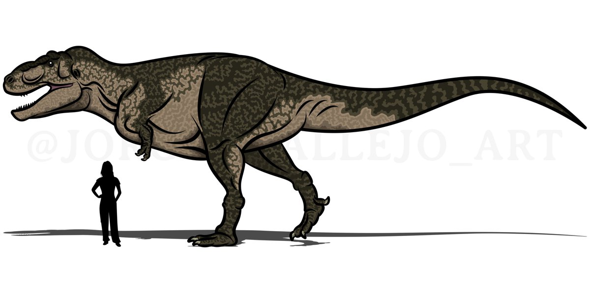 RSM P2523.8 🦖 #tyrannosaurus #paleoart #paleontology