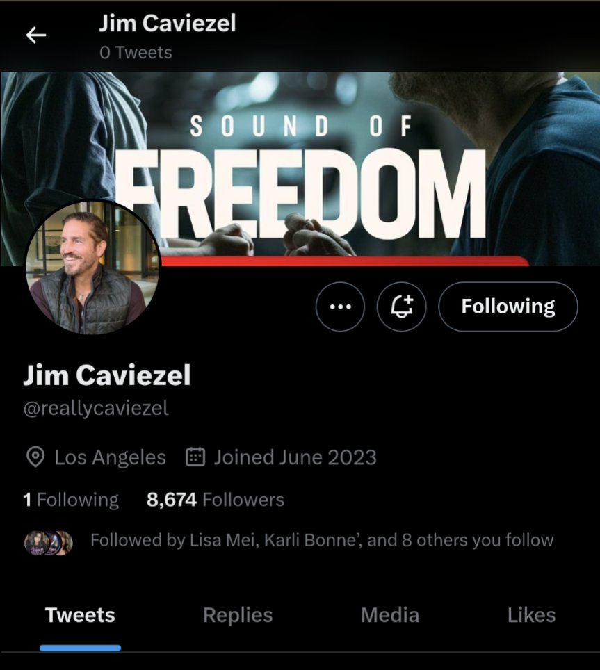 @realtoriabrooke @IamJimCaviezel That is a Fake account ( Fans of )
Jim's real account has not Tweeted
@reallycaviezel