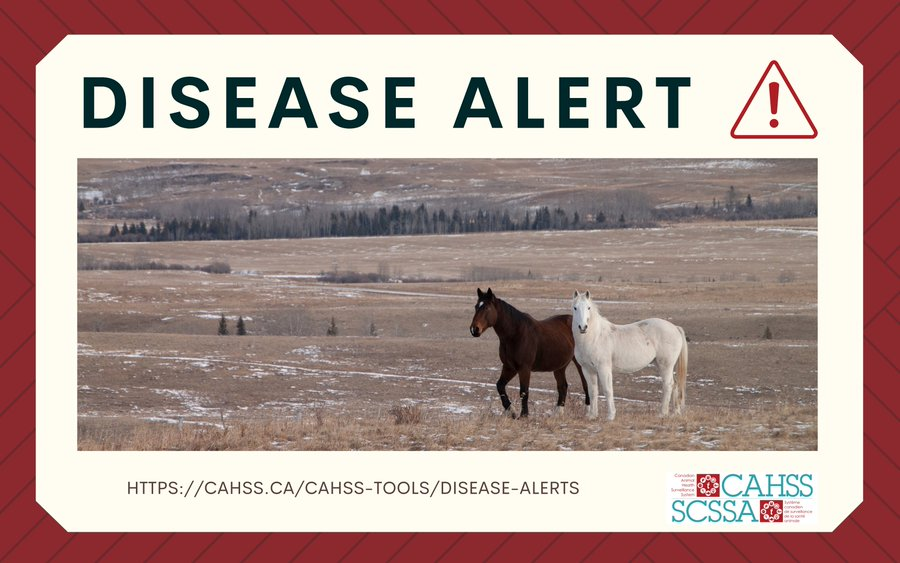 Canadian Animal Health Surveillance System 🇨🇦 tweet media