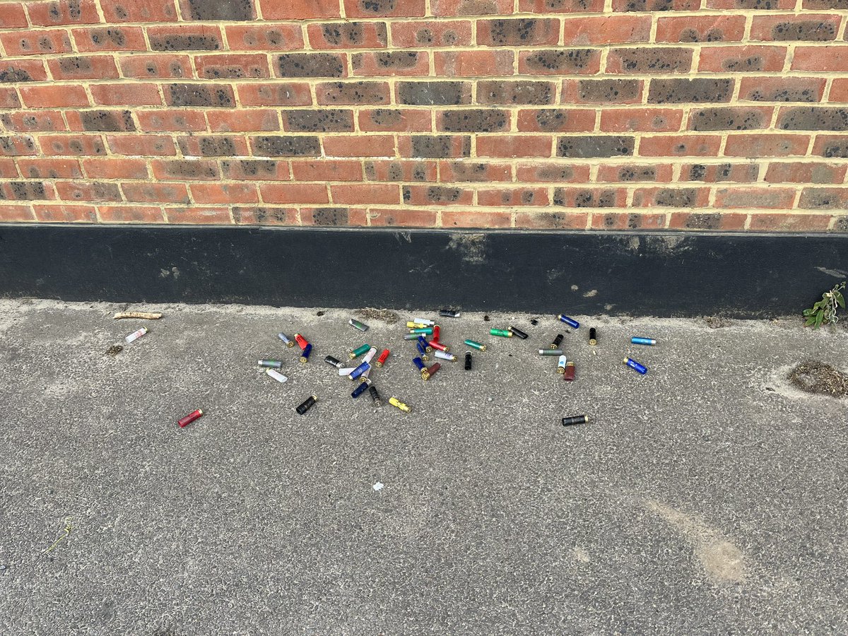 Pulse Ashtead tweet media