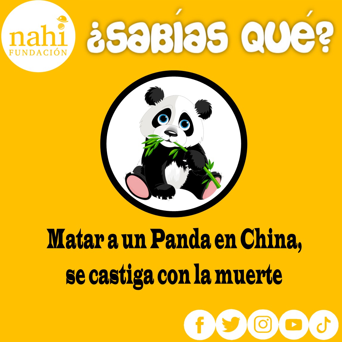 #fundacionnahi #fundacion #clownhumanitario #clownhospitalario #payasosdehospital #conelcorazonenlanariz #narizroja #laborsocial #voluntariado #cdmx #méxico #diversion #felicidad #amor #terapiadelarisa #IMSS #ISSSTE #secretariasaludcdmx #risoterapia #risoterapiamexico #hospital