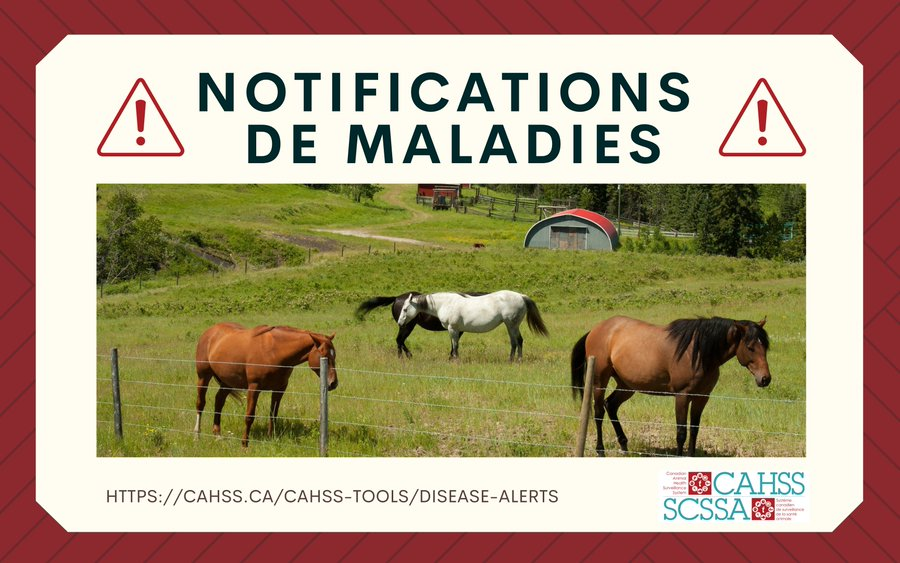 Canadian Animal Health Surveillance System 🇨🇦 tweet media