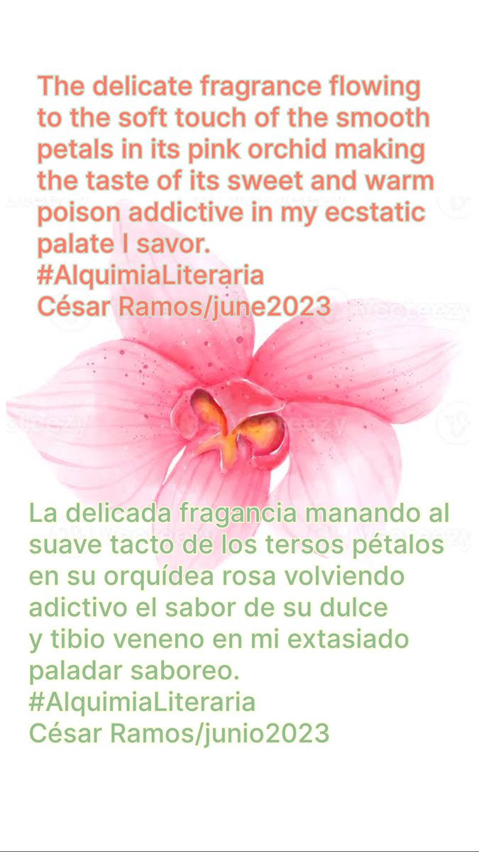 La delicada fragancia manando al suave tacto de los tersos pétalos en su orquídea rosa volviendo adictivo el sabor de su dulce y tibio veneno en mi extasiado paladar saboreo.
#AlquimiaLiteraria
César Ramos/junio2023