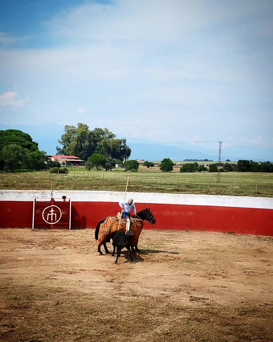 MC_huertasvega's tweet photo. Bien picaor! @maruganivangarcia #hayquepicar #tienta #bravas #vacas #picar #varas #peto #ganaderiacristinahuertas #ganadobravo #faenas #faenasganaderas #selección #genética #delejos https://t.co/Y0ObLuZIG6
