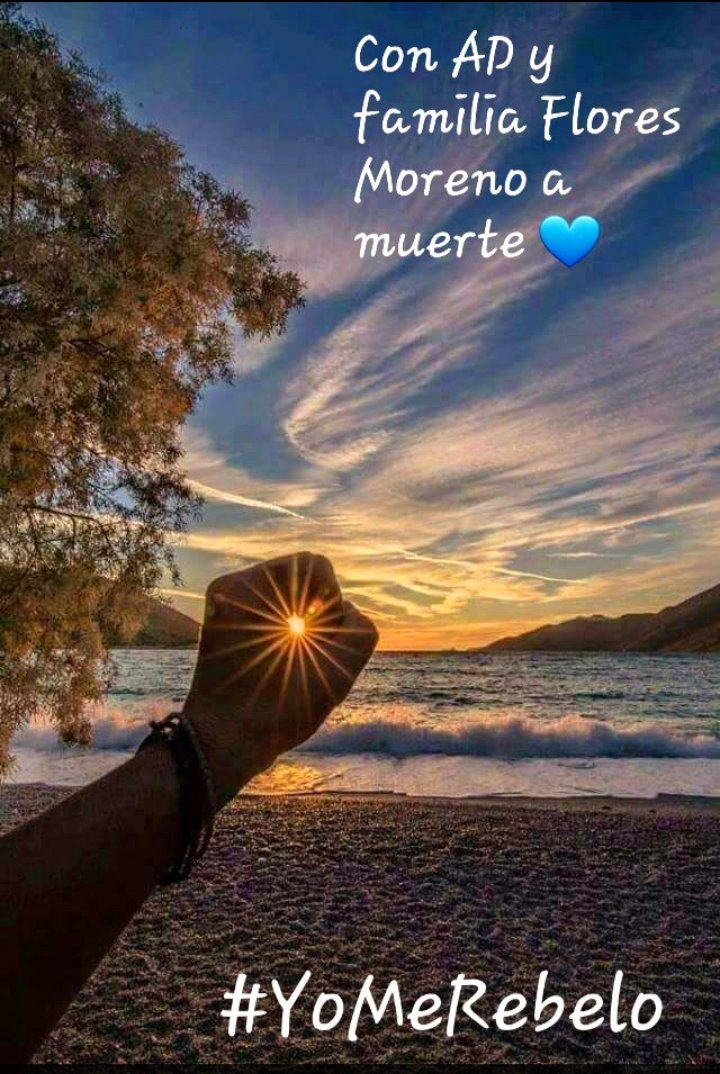 #YoMeRebelo28J💪⚖️🌊
💧Un día mas🌊 ⤵️ 
💧Contra las mentiras,las manipulaciones,las calumnias y las humillaciones de LFDLT y de las RRSS!
🪬Contra la peor madre!🤑
🪬Con los Flores Moreno siempre!⚖️💙
🪬AD es inocente y muy buen padre!💯
#YoSoyMareaAzul28J
#YoMeRebelo28J 💪⚖️🌊