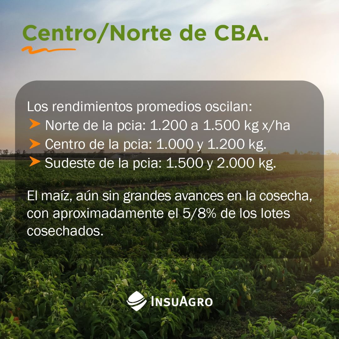 Les compartimos Información provista por la red de distribución de InsuAgro en conjunto con los Supervisores Zonales de cada una de las zonas.

#InsuNews #Insuagro #agronomia #noticias