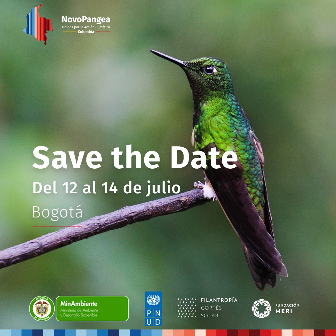 Filantropía Cortés Solari tweet media