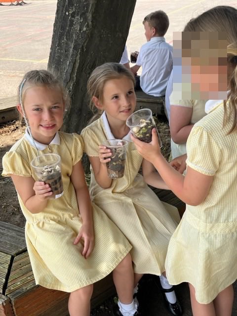 More #Science in Fox Class: symmetry and making a wormery!
#worms #Teamwork #layers #soils