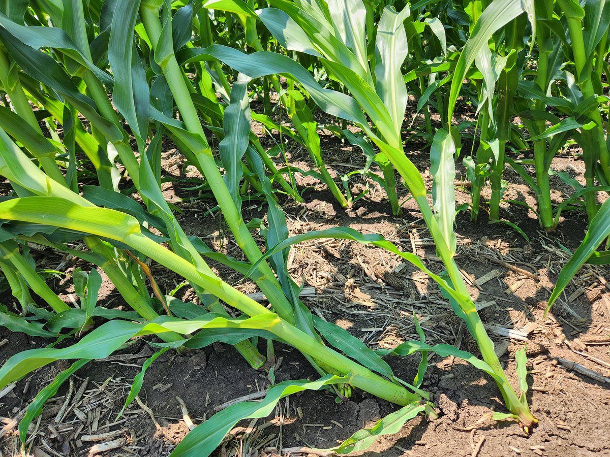 Bruce Potter tweet media