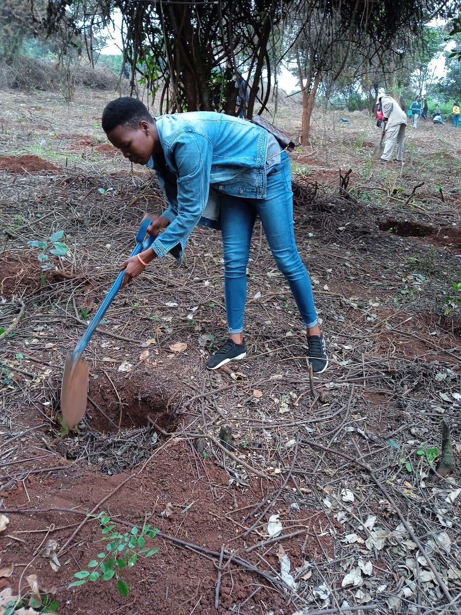 “Making peace with nature is the defining task of the 21st century. It must be the top, top priority for everyone, everywhere.” – António Guterres, UN Secretary-General, 2021 #OneBillionTreesForAfrica #EcosystemRestoration #biodiversity @auggwi @TabiJoda1 @tangem2009