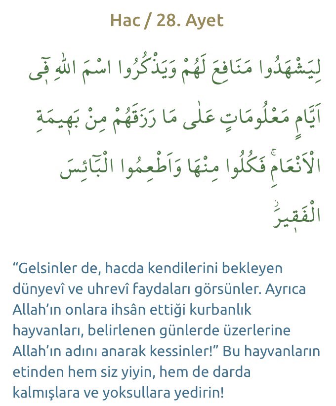 bsrr1907's tweet photo. Kurban bayramımız mübarek olsun 😊
#kurbanbayramı https://t.co/GDpitIbTZs