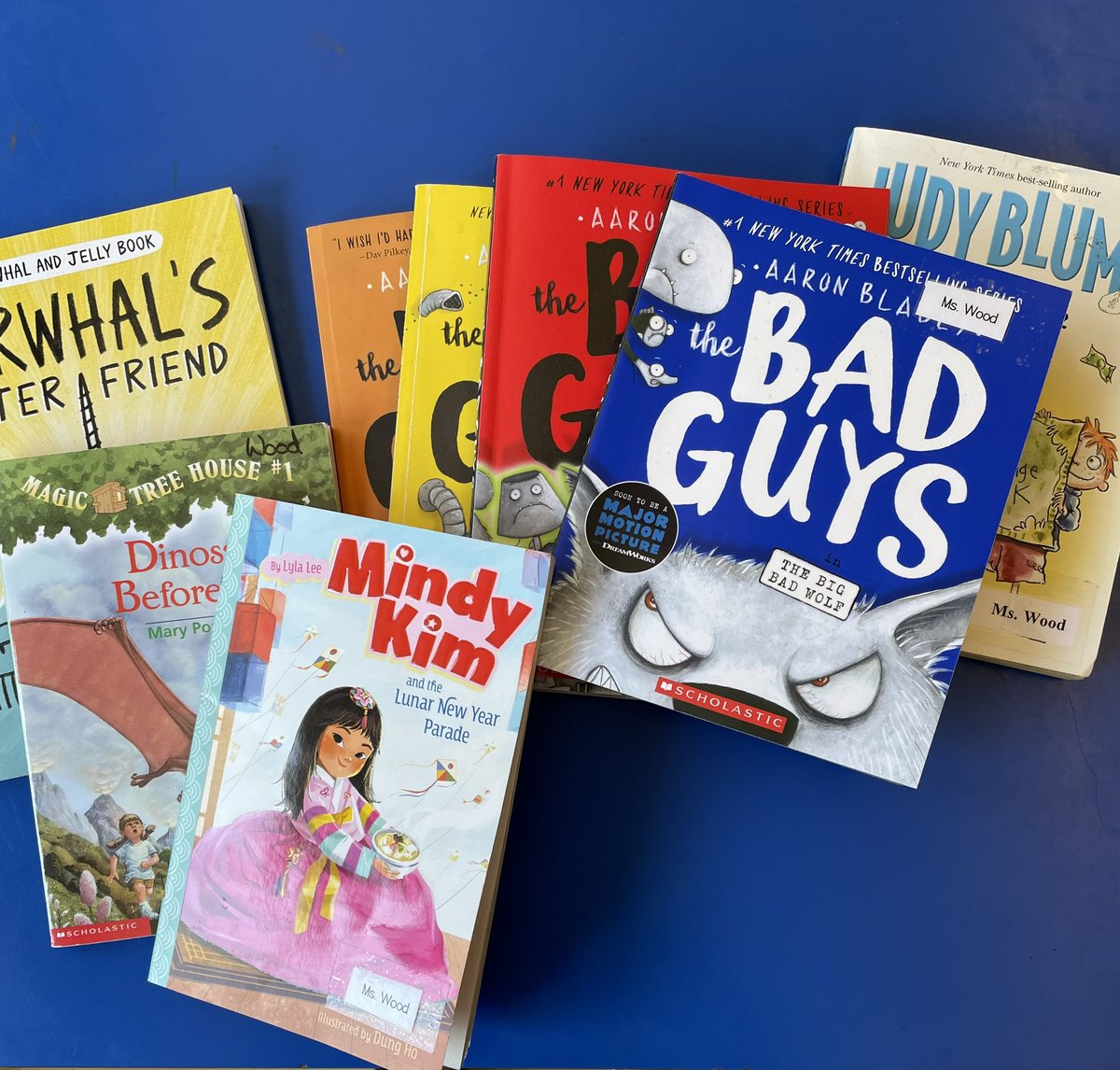 We started grade one with decodable books and ended with chapter books and graphic novels! Explicit Instruction and a solid scope and sequence works 🤩 #SoR #bced <a href="/UFLiteracy/">UF Literacy Institute</a>